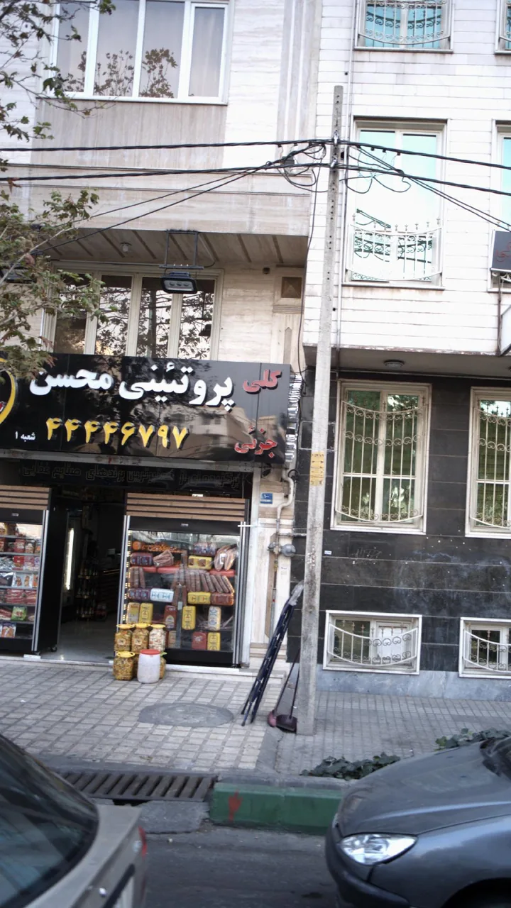 پروتیینی محسن