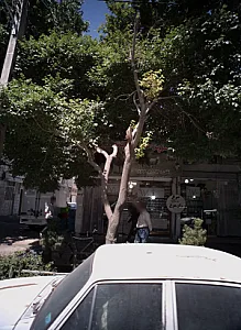پروتئینی