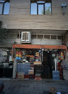 پروتئینی حاتمی