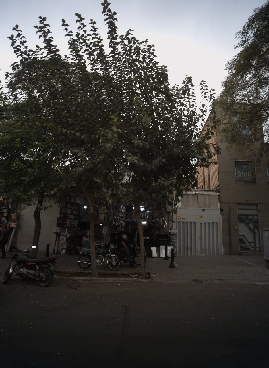 فروشگاه محمدی