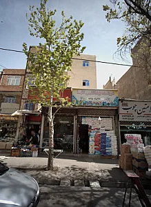 شوینده بهداشتی گلها