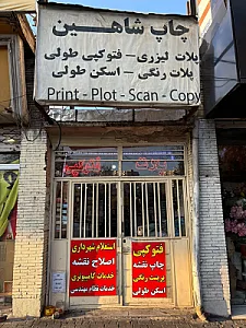 کپی شاهین
