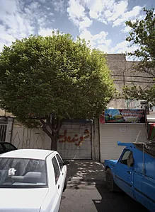 شوینده ولیعصر