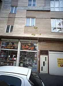 مواد غذایی شوینده و بهداشتی پرطلا
