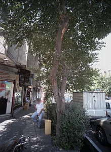 شوینده بهداشتی یکبار مصرف