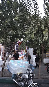 فروشگاه بهداشتی و شوینده
