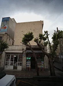 شوینده بهداشتی سید