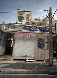 شوینده بهداشتی و مواد غذایی ثامن الحجج