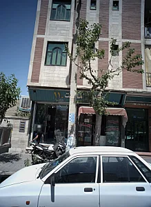 شوینده بهداشتی بهار