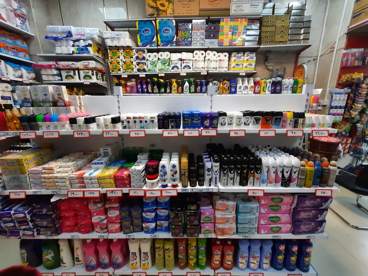 فروشگاه شوینده بهداشتی روژان