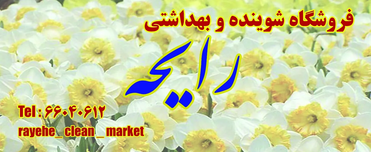 فروشگاه شوینده و بهداشتی رایحه - تصویر 3