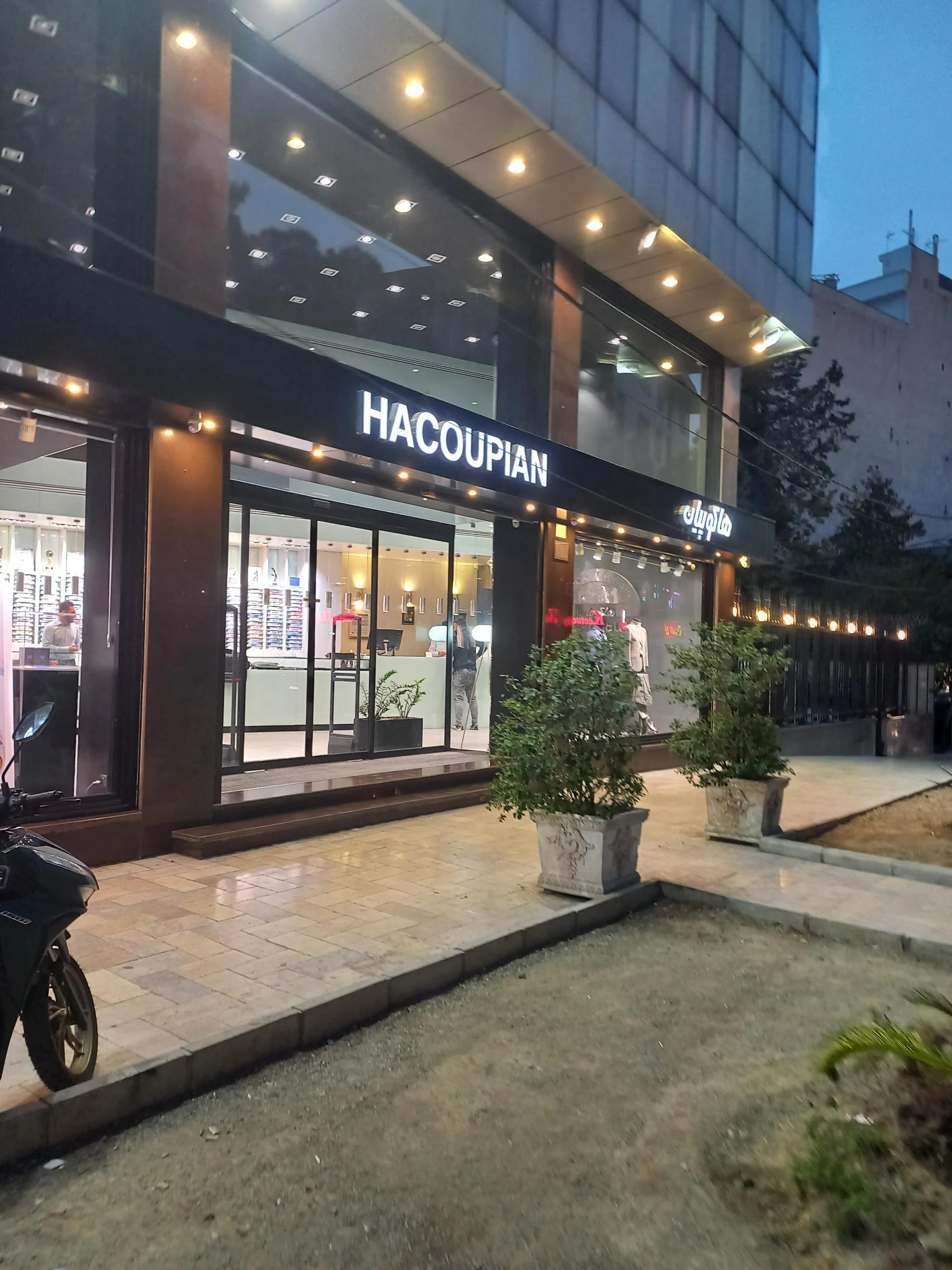 هاکوپیان جوانان - تصویر 2