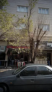 هرمس