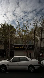 شیک پوش