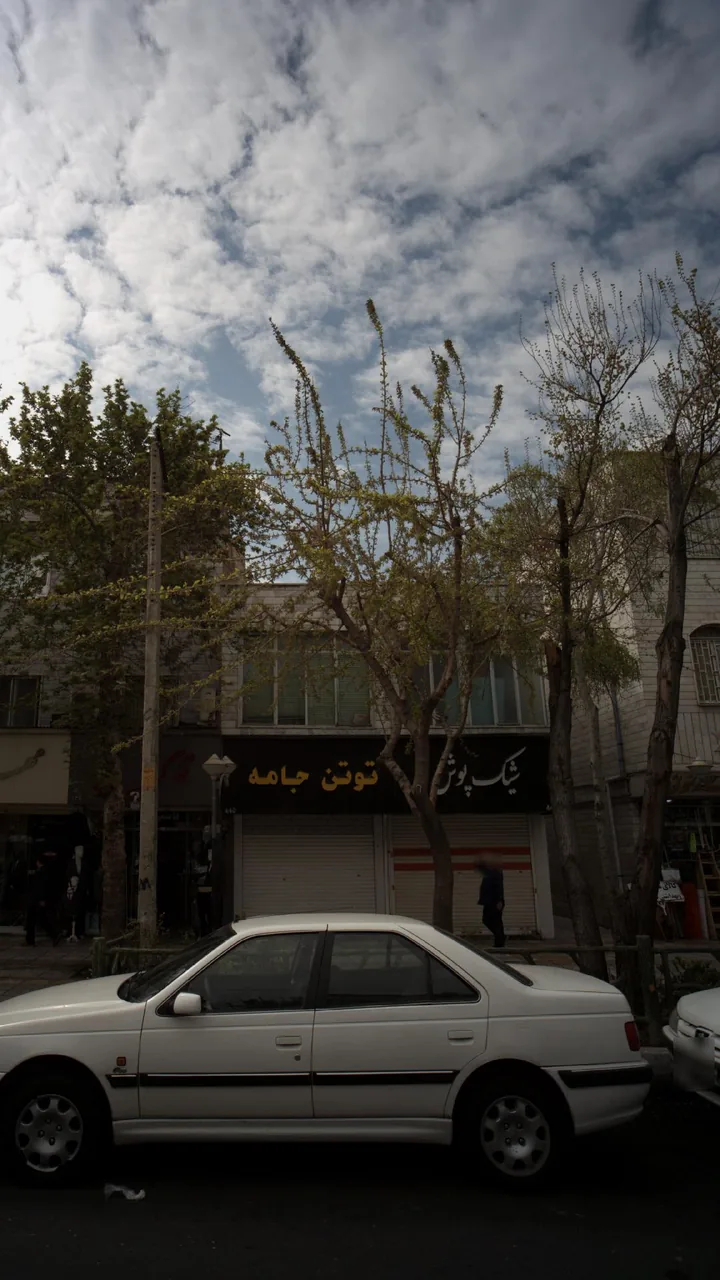 شیک پوش