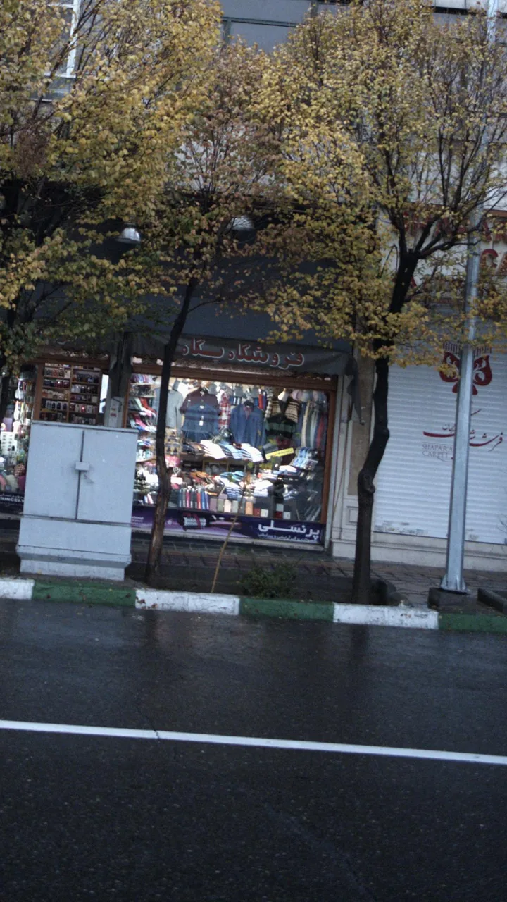 فروشگاه پگاه