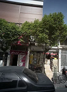 پوشاک نیلوفر