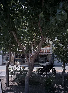 فروشگاه پوشاک سِر