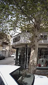 تتیس فروشگاه بِلّو