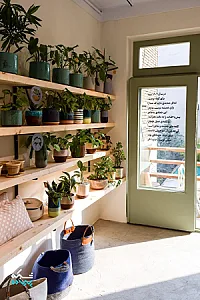 طاووسخانه
