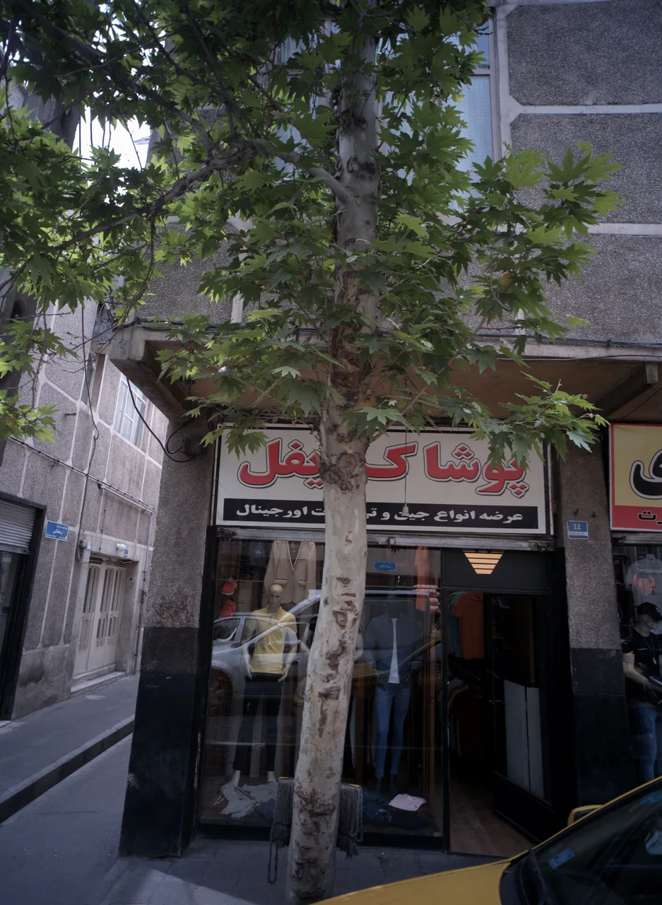 پوشاک ایفل