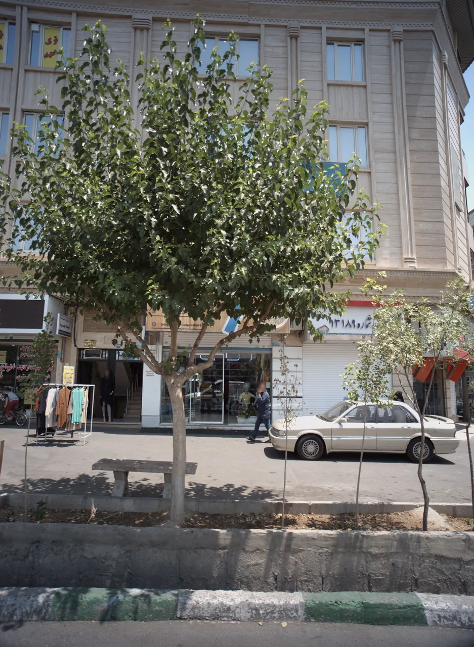 فروشگاه پوشاک ارزاسرا