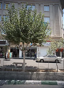 فروشگاه پوشاک ارزاسرا