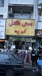 سی گل فرید