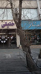 گلناز