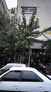 پوشاک