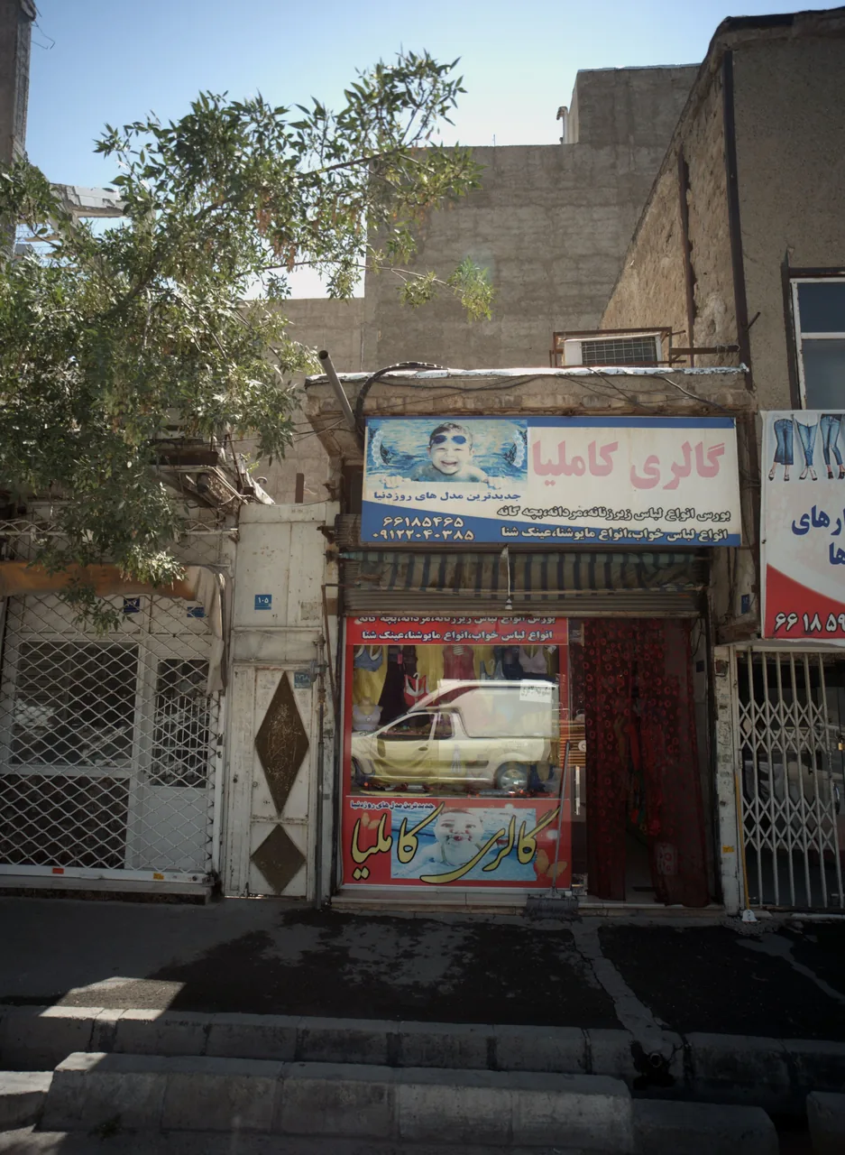 گالری کاملیا