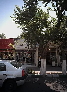 گالری امیر