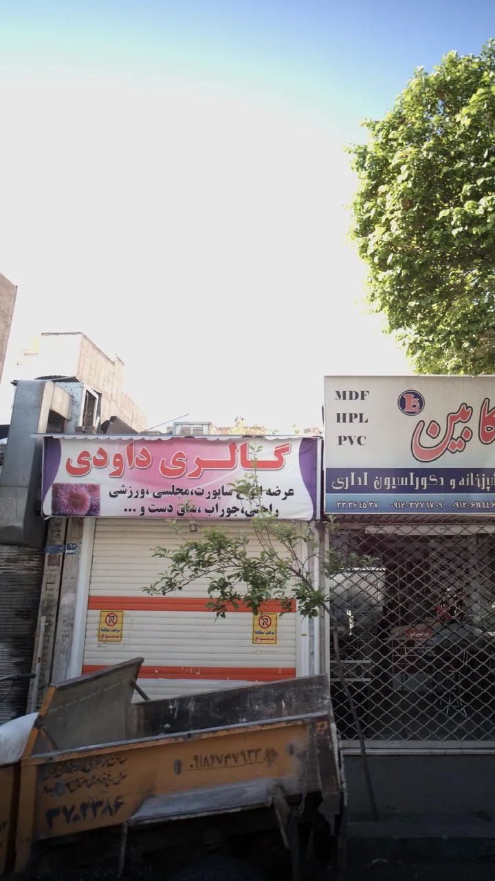 گالری داودی