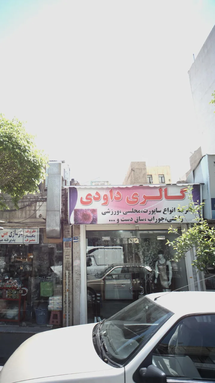 گالری داودی - تصویر 2