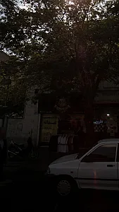 VIP