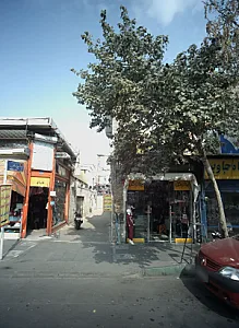 فروشگاه پوشاک ایران گل