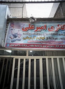 گالری امیرعلی