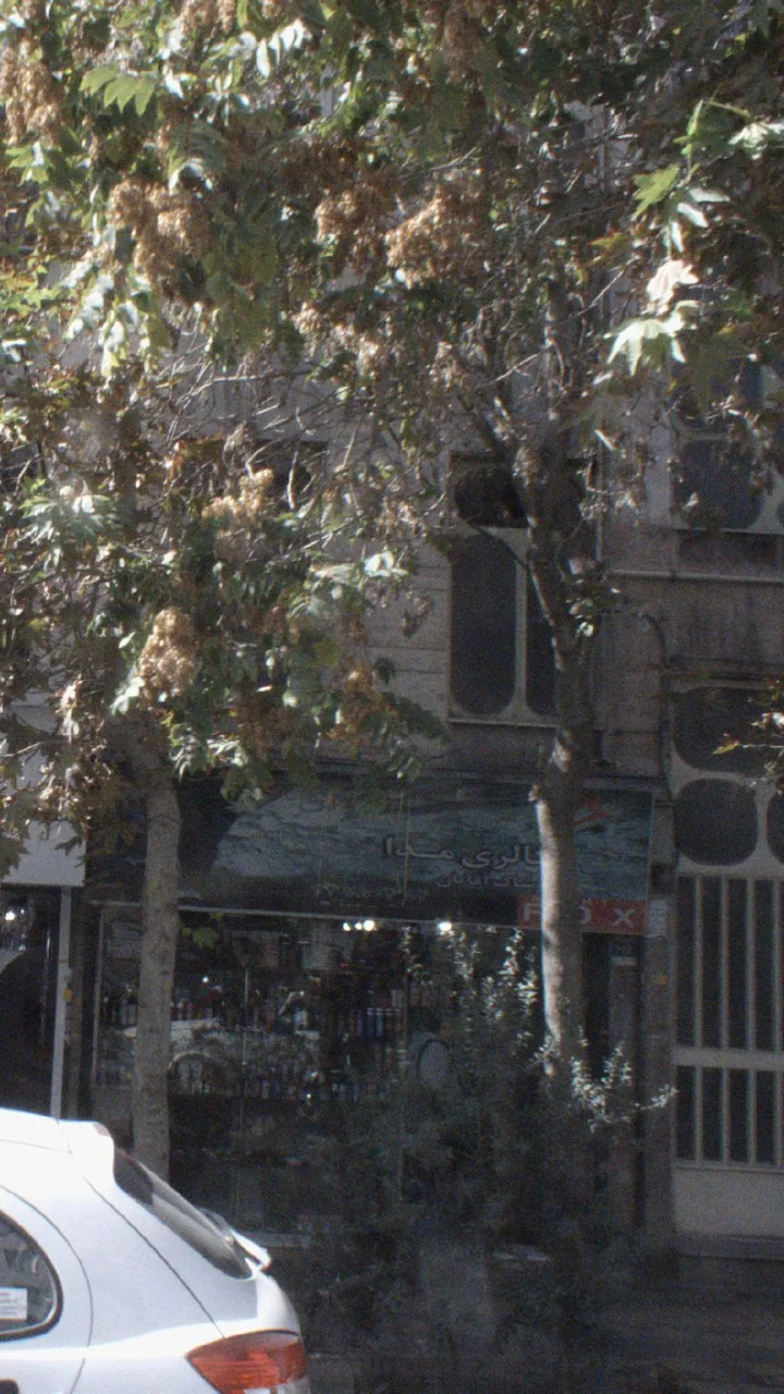 گالری مدا