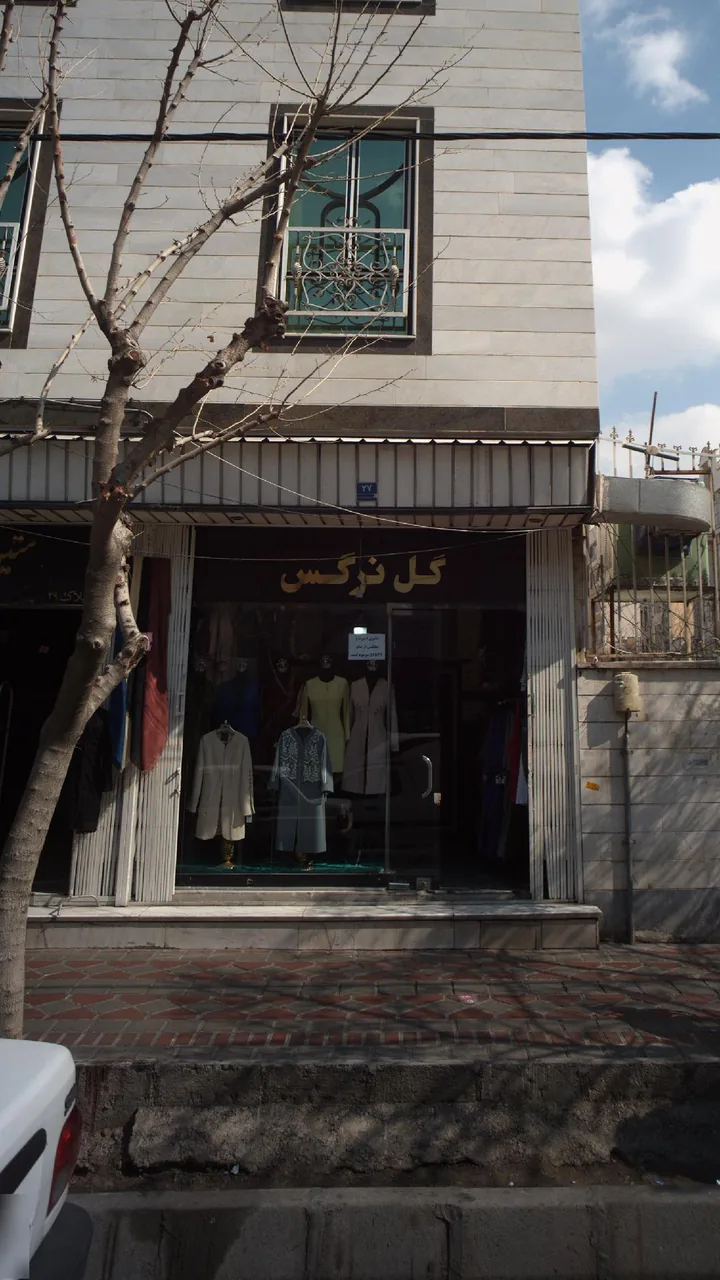گل نرگس