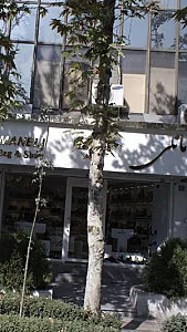 مانلی