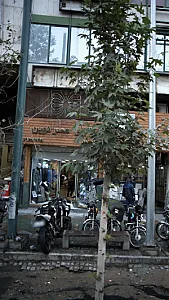 گالری عصر نوین