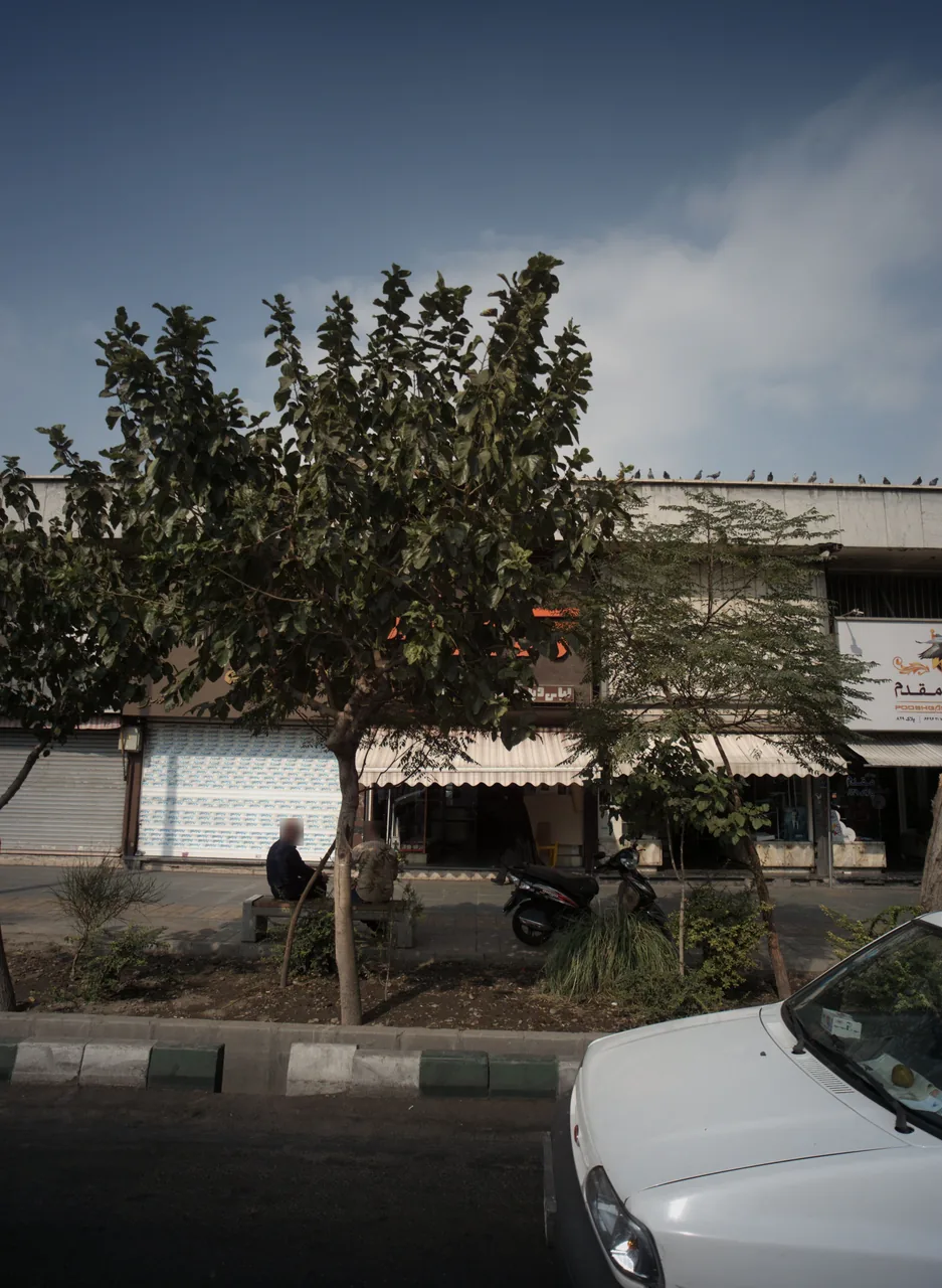 فروشگاه پوشاک
