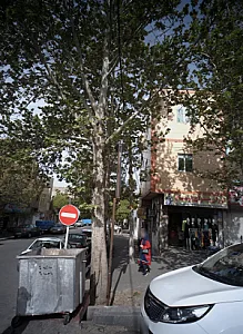 ارزان سرای تیام