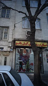 شال وروسری
