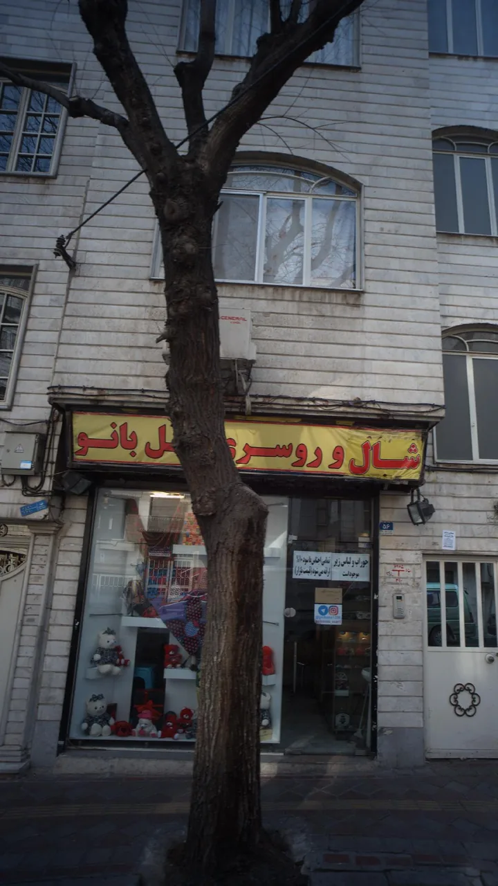 شال وروسری - تصویر 2