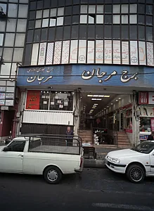 پوشاک زنانه مامدنی