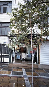 فروشگاه دیزاین