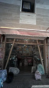 سیسمونی آرنیکا