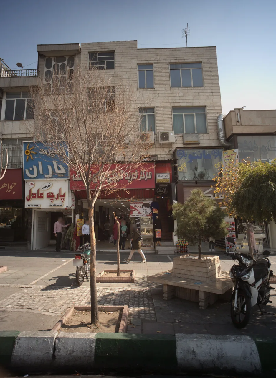 مانتو بلوط
