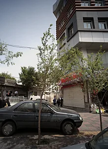 پوشاک تینا تیام